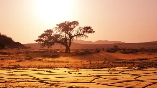 Inflation eases to 4.3% but higher oil prices could keep pressure on South Africans