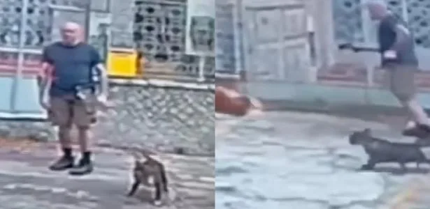 Homem mata cachorro a tiros em rua no Rio; polícia investiga