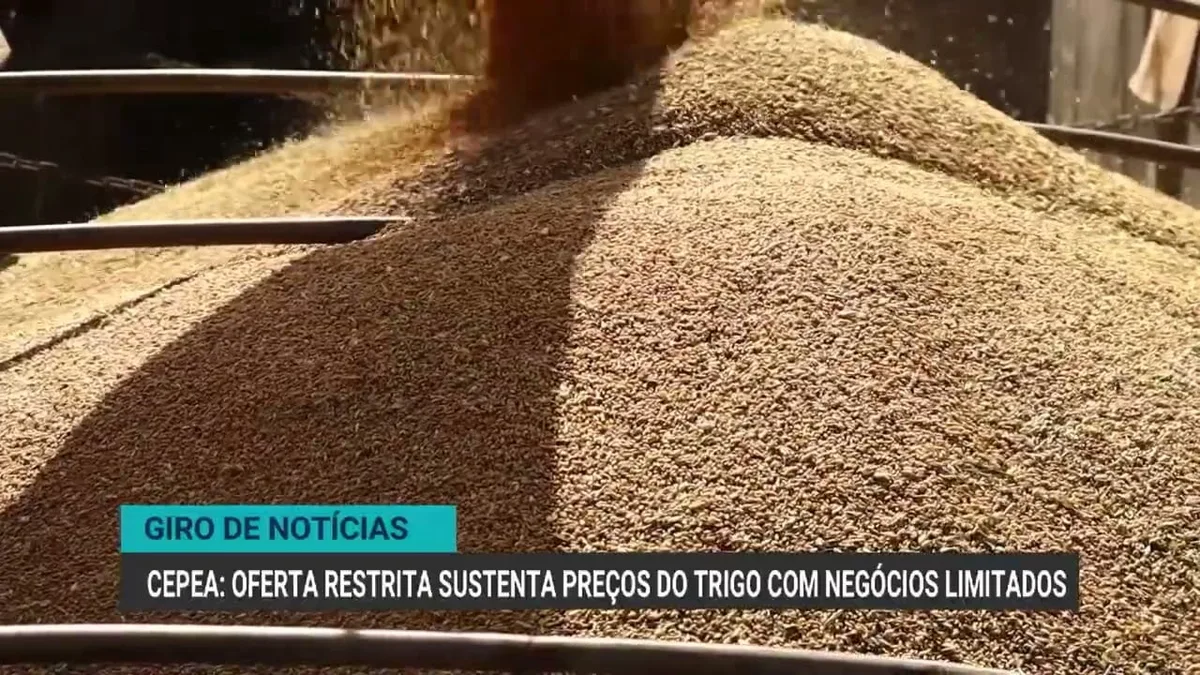 Venda de material genético bovino cresce 11,5% no primeiro semestre de 2026