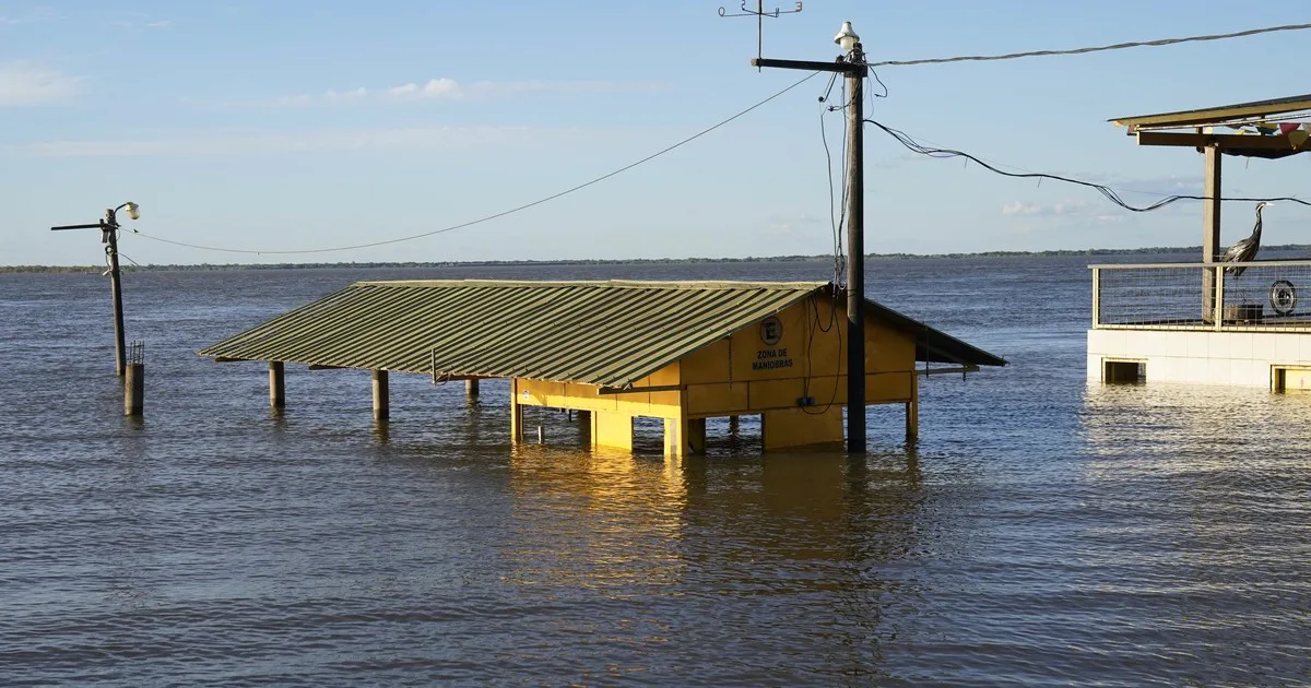 Súper Niño 2026 en Argentina, EN VIVO: cuándo llegará el pico de las fuertes lluvias y cómo cambiará el clima en el país