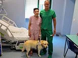 Woman regains sight after years of total blindness thanks to world-first eye transplant