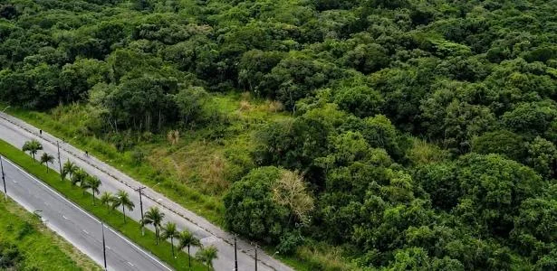 Além de CT da base, Santos planeja parque ecológico em área de São Vicente