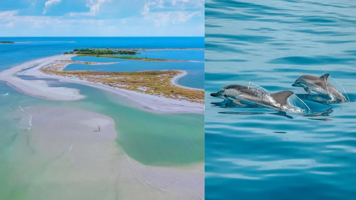 Isla Aguada, el pueblo de pescadores en Campeche donde puedes nadar con delfines