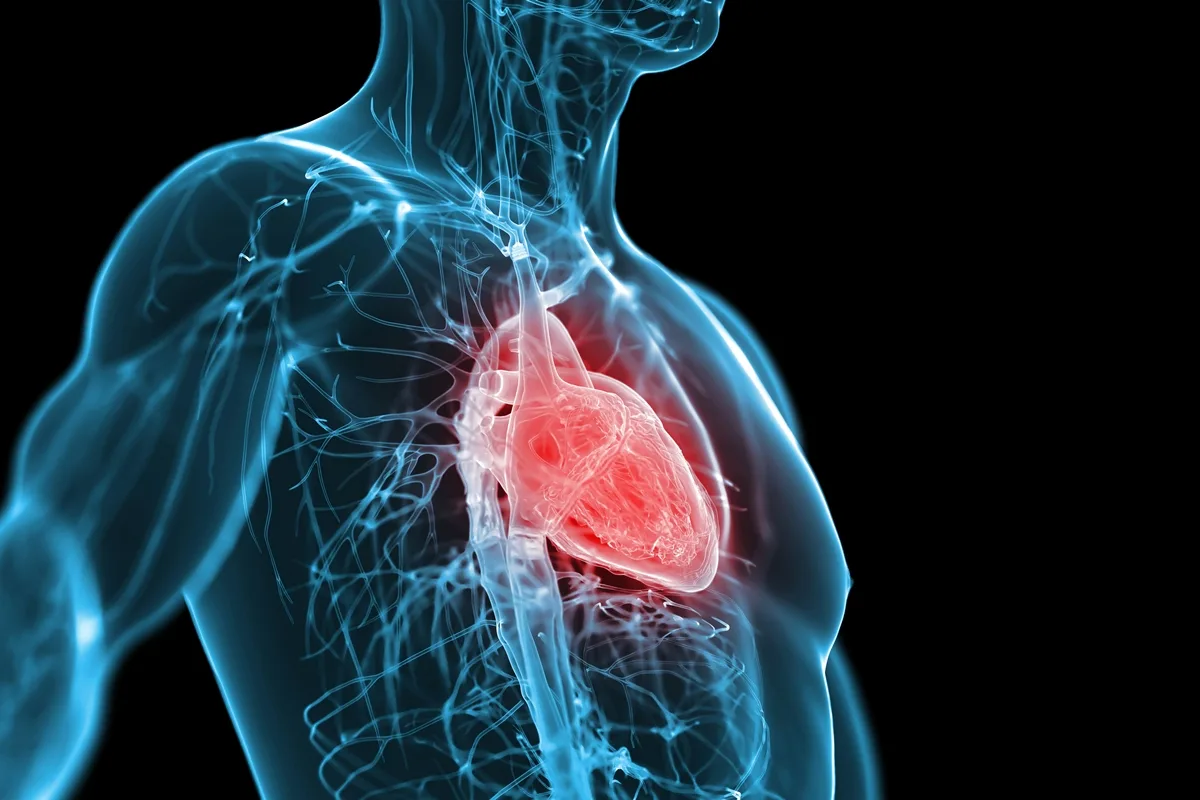 Cardiologista enumera 5 hábitos da rotina que prejudicam o coração