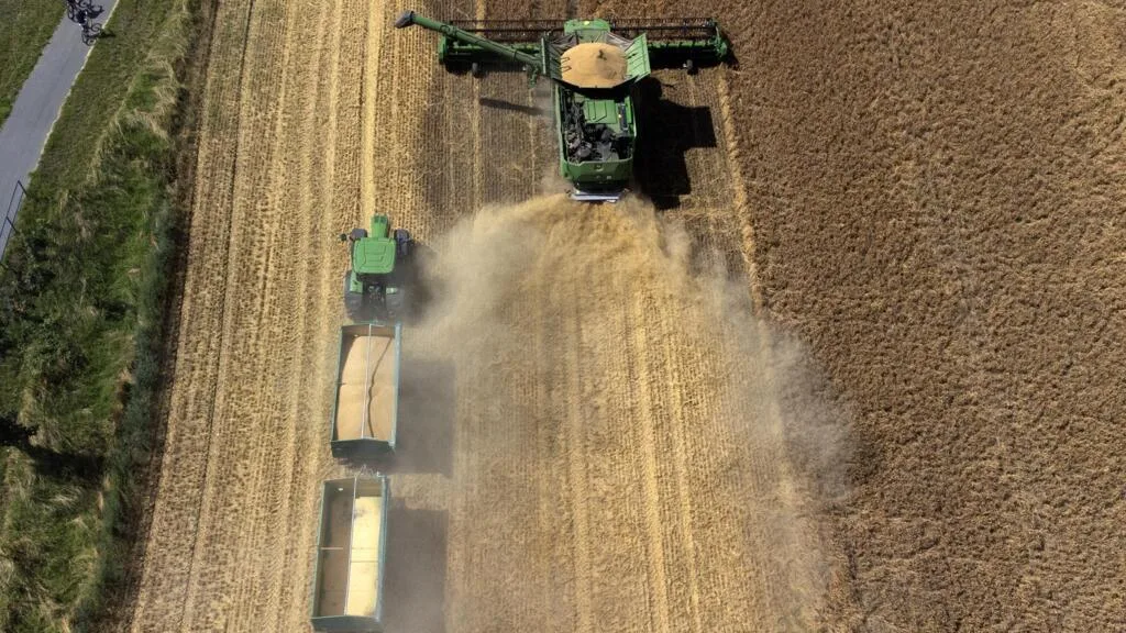 Baisse de la production mondiale de céréales : le retour des stocks stratégiques ?