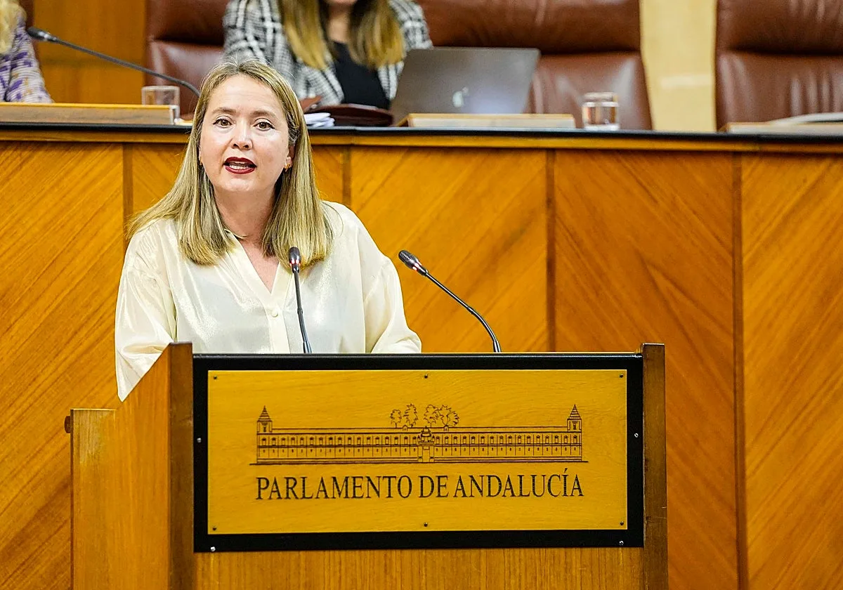 El PSOE propone a una exparlamentaria para la RTVA y a un periodista del equipo de María Jesús Montero para el Consejo Audiovisual
