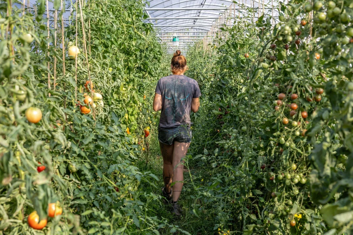 Pertes de terres agricoles : qui pour aider les agriculteurs ?