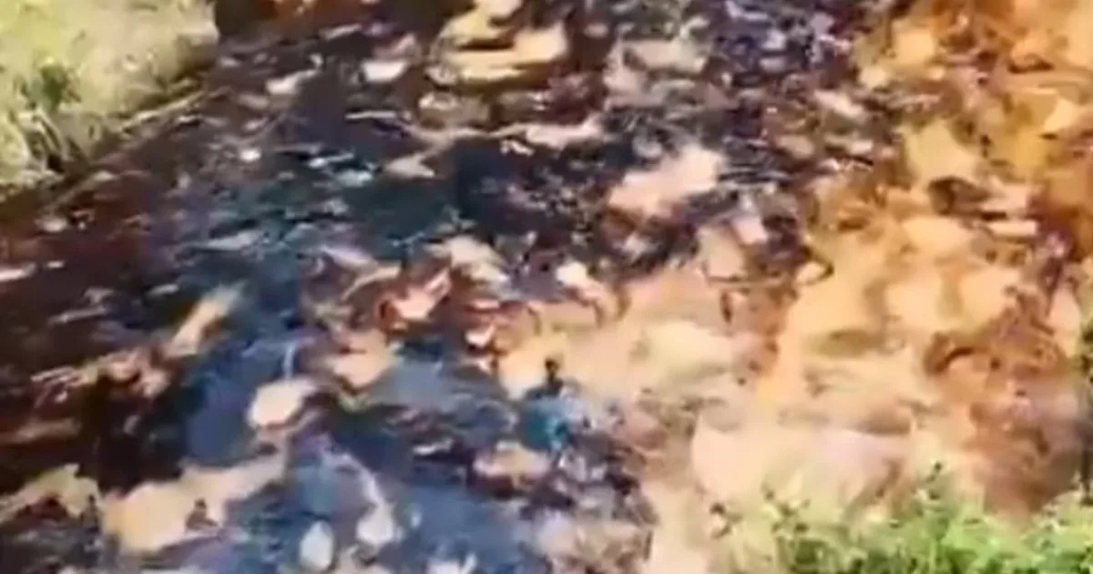 Un derrame de petróleo contaminó un río y obligó a cortar el agua potable en Ecuador