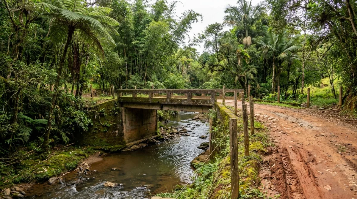 Família compra chácara cortada por pequeno córrego, constrói uma ponte para chegar ao outro lado do terreno e descobre que a obra pode envolver área ambientalmente protegida