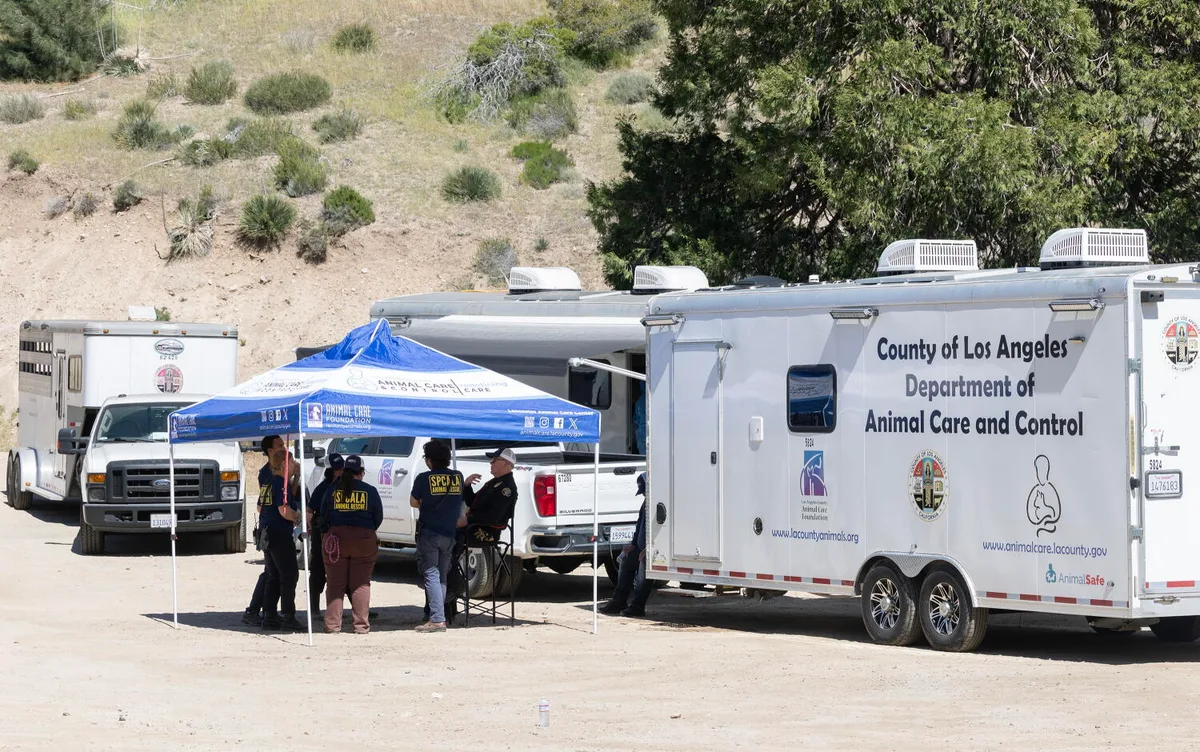 D.A. announces criminal charges against Lake Hughes animal rescuer