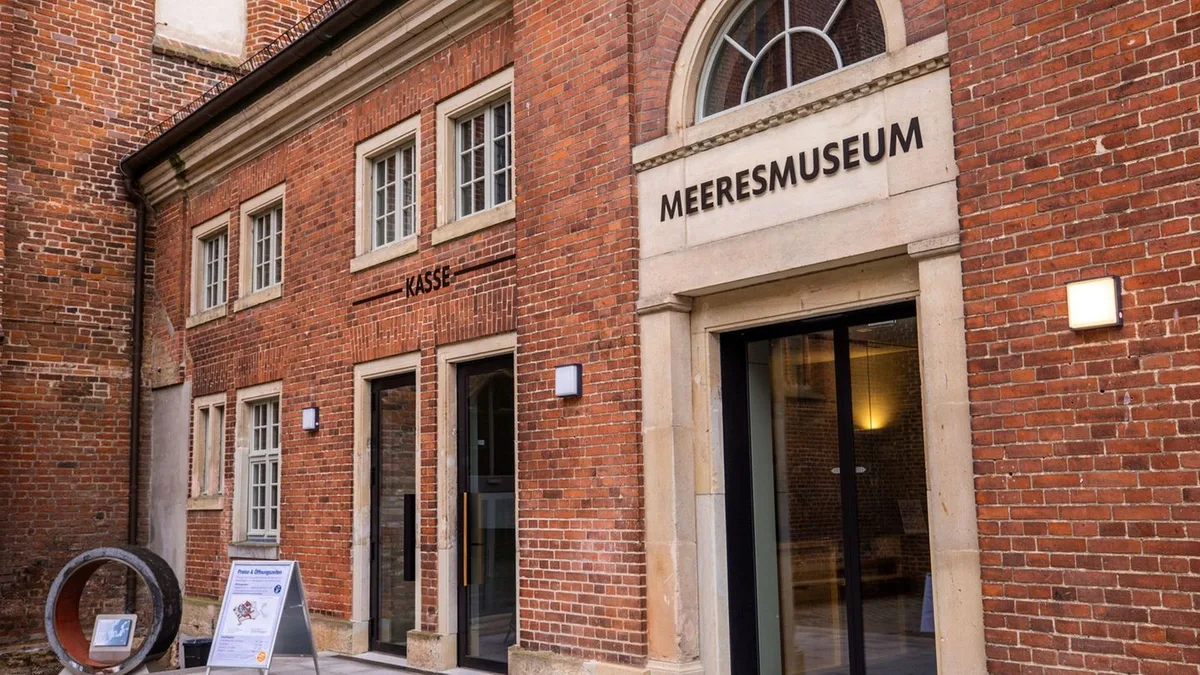 Immer noch Shitstorm: Wegen Buckelwal: Meeresmuseum erhält weiter Hassnachrichten