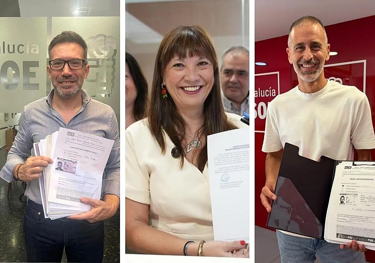 «La democracia interna está viva»: Fernández, Romero y Ortiz ya son candidatos a las primarias del PSOE en Córdoba