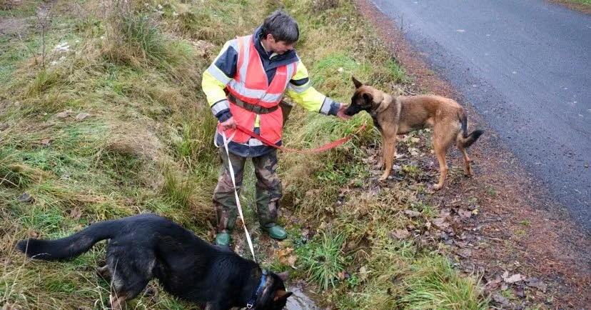Loire. Chiens renifleurs, capteurs de sons, gaz traceur... Comment Veolia traque les fuites dans les canalisations