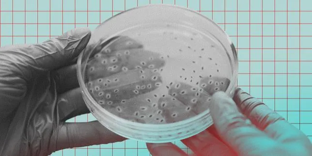 Légionellose en Savoie : un restaurant de Chambéry identifié comme l’une des sources de l’infection