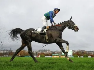 Hippisme. En tête de la course à Auteuil, un cheval meurt d’une crise cardiaque