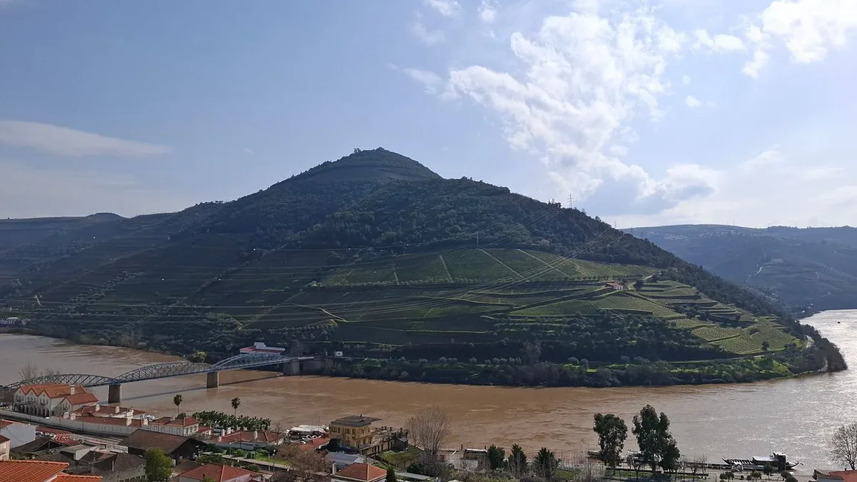 Cruzeiros no Douro: o que esperar de um dia inteiro no rio