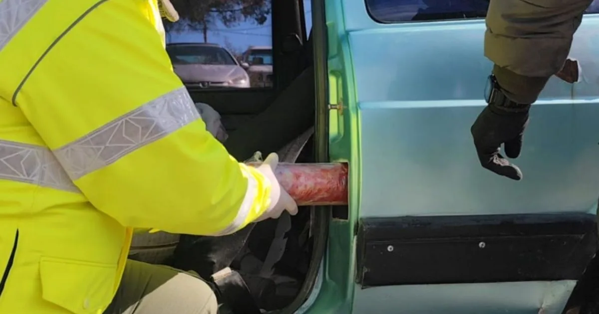Salieron de Río Negro rumbo a Chubut y un perro descubrió que llevaban casi dos kilos de droga