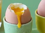 Salmonella infections jump again: Health chiefs announce 50 new cases of deadly bug in just a week and urge some Britons to avoid runny eggs