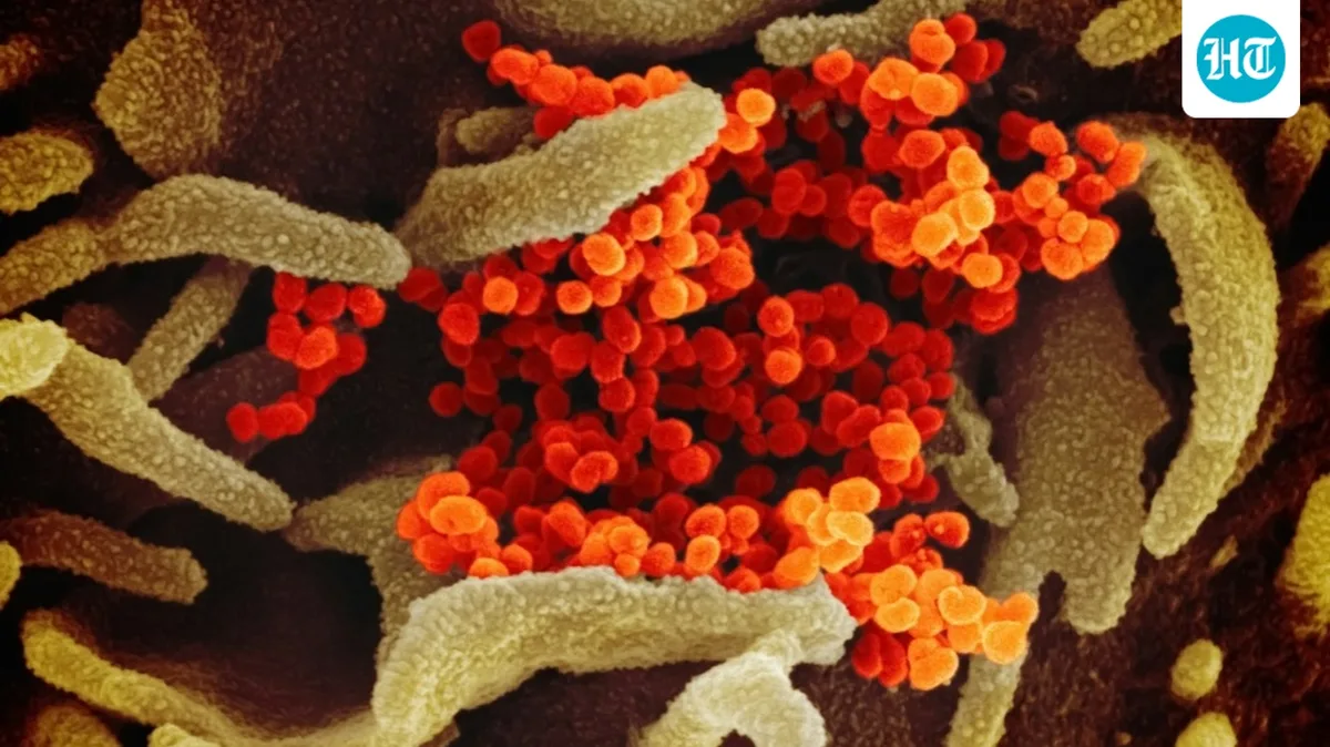 Anthropic unveils discovery of new enzyme system spotted by Claude model