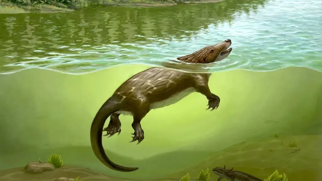 Era um mamífero? Era um ornitorrinco? Era uma quimera do tempo dos dinossauros
