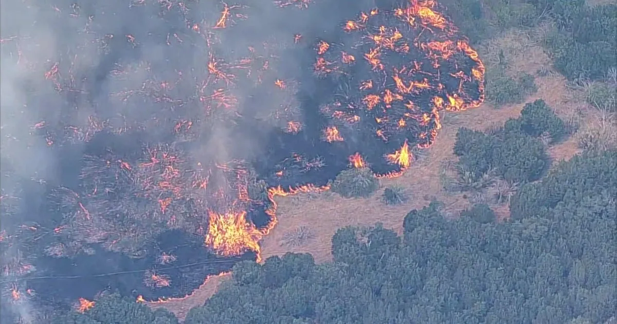 Ross Fire explodes to over 80,000 acres, forces evacuations in North Texas