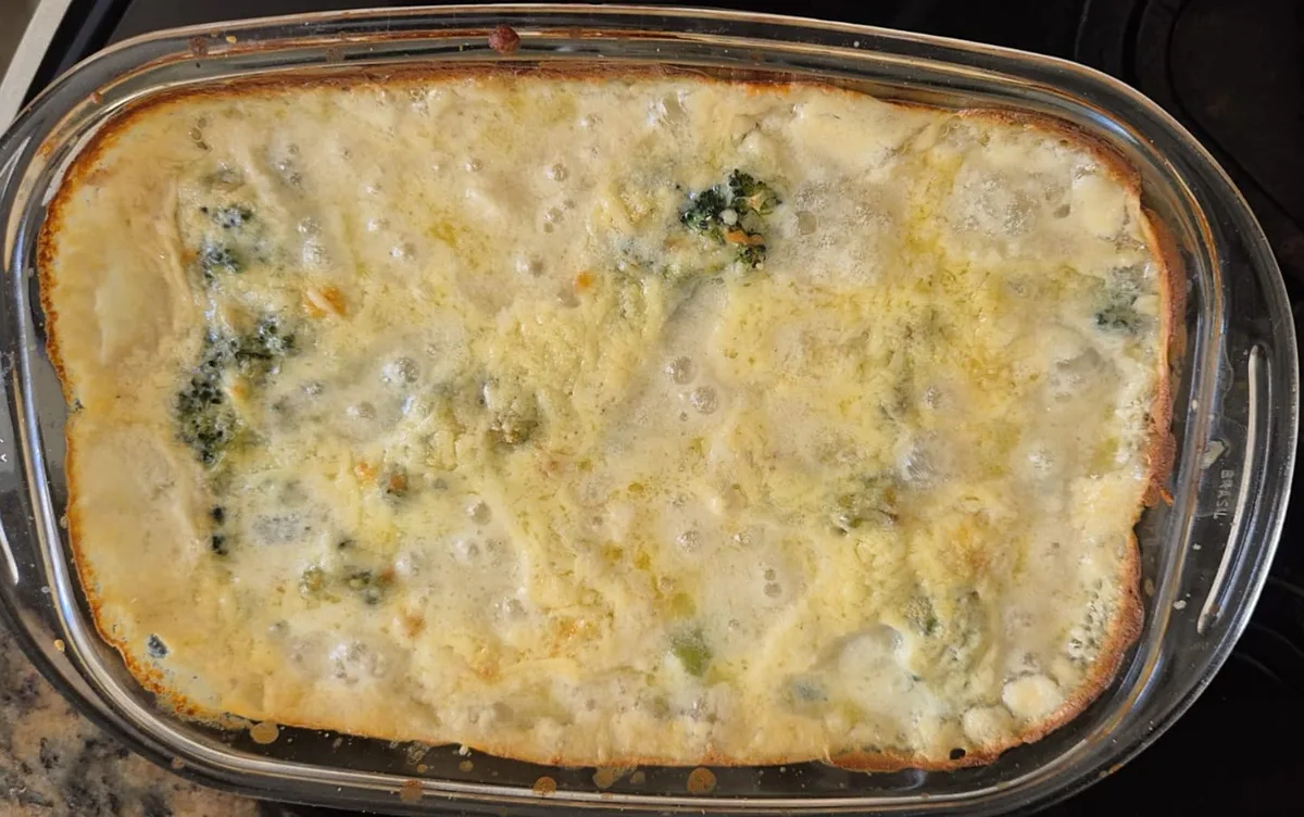 Barato da Cozinha: aprenda a fazer brócolis com molho branco, uma receita simples e nutritiva