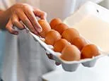 Fury as UK health chiefs won't disclose source of 'imported' deadly eggs - as major salmonella outbreak kills one and sickens 200