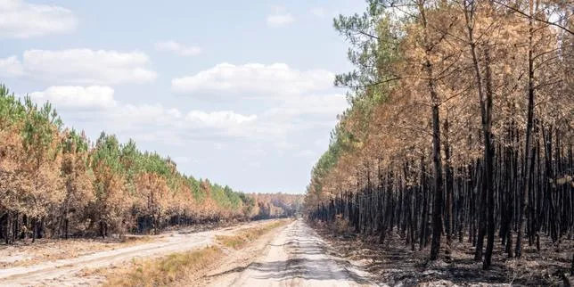 « Au terme d’un été marqué par les canicules répétées et les incendies ravageurs, la prise de conscience est encore faible et l’impréparation totale »