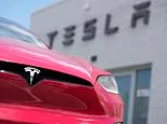 Tesla recalls nearly 3 million vehicles in China over door handle safety risk