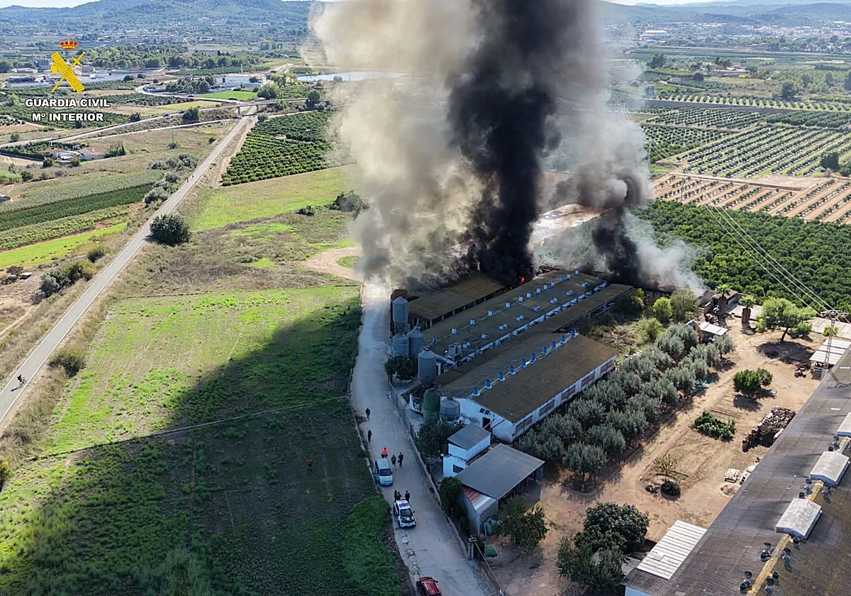 Rescatan a cinco trabajadores y 3.300 cerdos de un incendio en una granja de Benaguasil