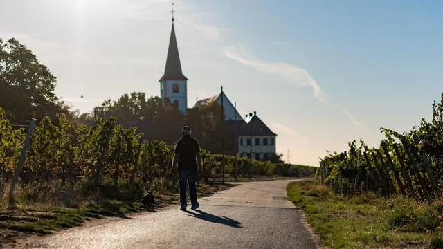 Wetter: Wolken, Sonne und in den Nächten Nebel in Hessen