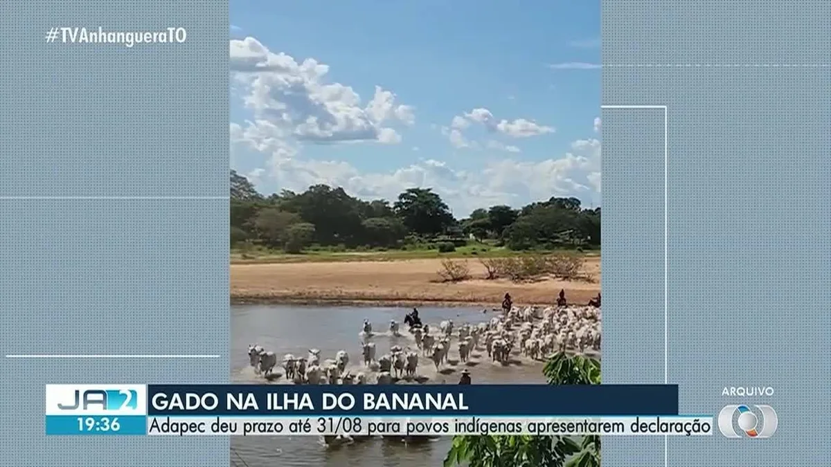 VÍDEOS: Jornal Anhanguera 2ª Edição-TO de quinta-feira, 20 de agosto de 2026