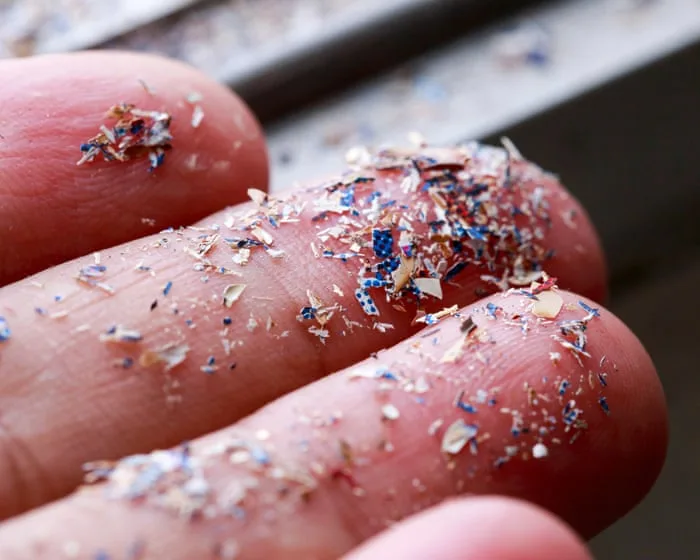 Rising microplastics in soil a threat to UK food security, MPs and campaigners say