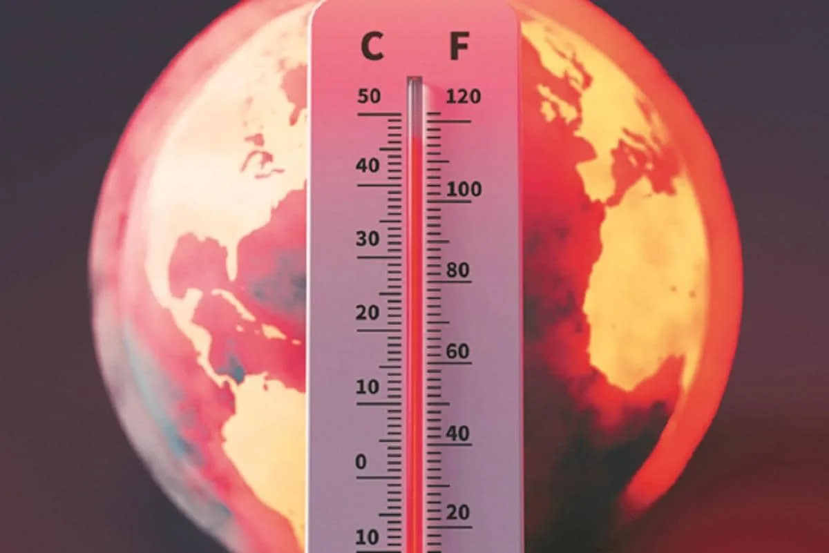 El Nino to continue to intensify ahead of its forecast peak in Dec: WMO