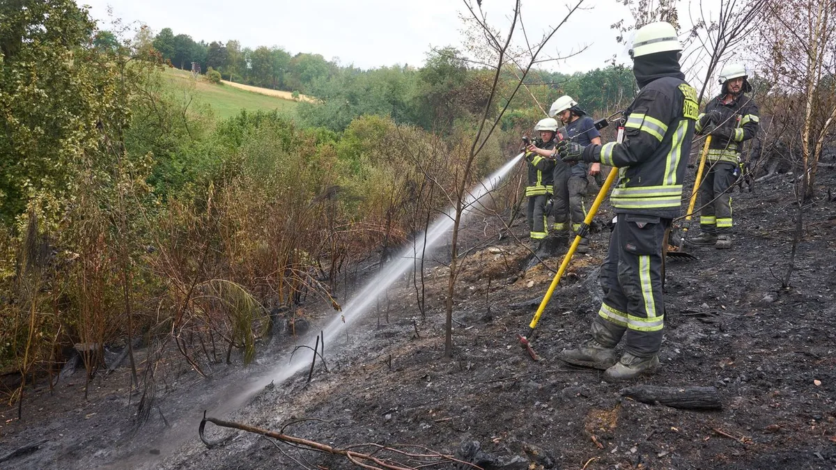 Waldbrände: Gewerkschaft: Feuerwehren besser auf Waldbrände vorbereiten