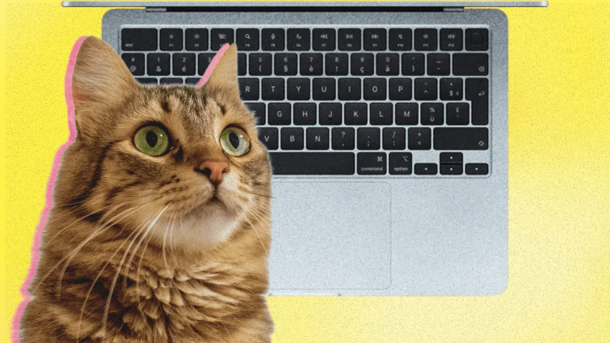 Ce logiciel gratuit fait ronronner le trackpad de votre MacBook comme un chat