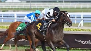 Jinete Atleta Meridiano busca la victoria en el Perryville Stakes (G3)