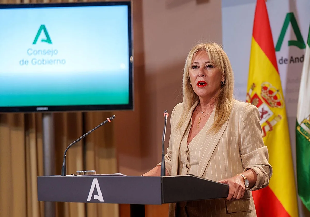 Andalucía pide declarar zona afectada por una emergencia a 31 municipios andaluces