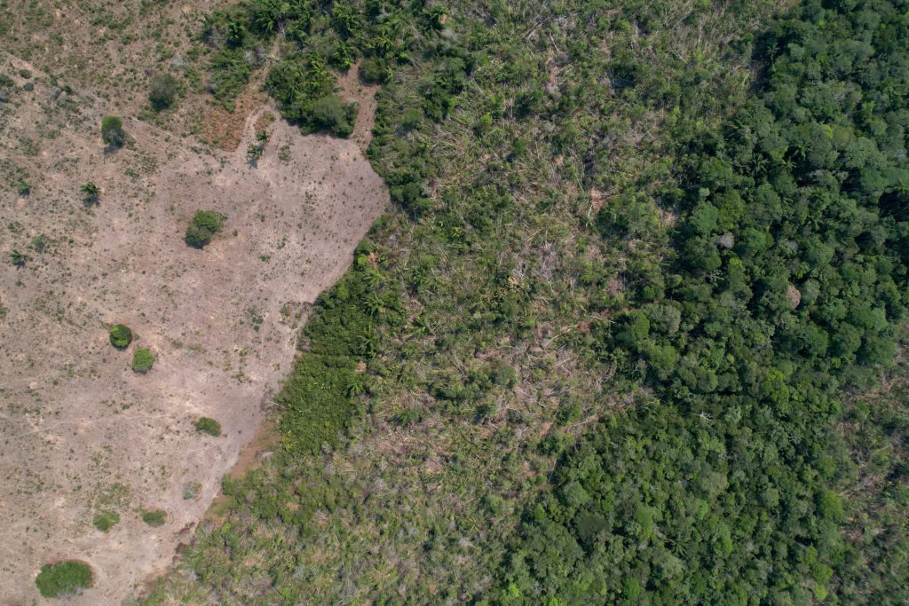 Fundraising to protect key natural sites falls short ahead of UN biodiversity summit