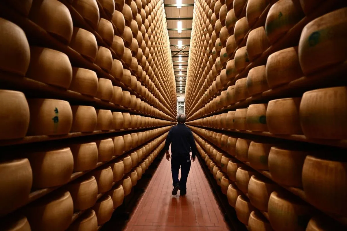 Is Italy’s Parmigiano Reggiano cheese really melting because of the heat wave? Social media claim, explained