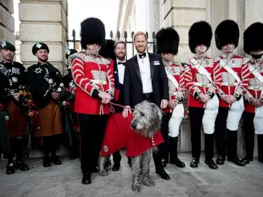 Prince Harry attends 1st official engagement since return to UK