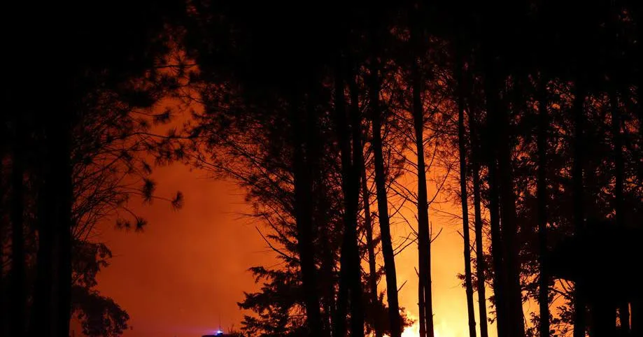 Climat. Canicule et incendies : plus de 1 000 hectares parcourus dans la forêt des Landes