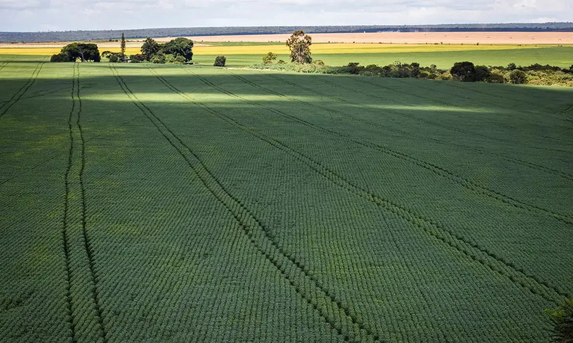 Senado aprova plano para fabricação de fertilizantes no Brasil
