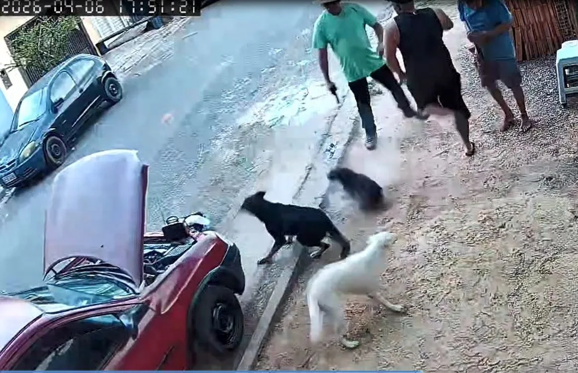Câmara de Itu cassa mandato de vereador que atirou próximo a cachorro durante ação policial