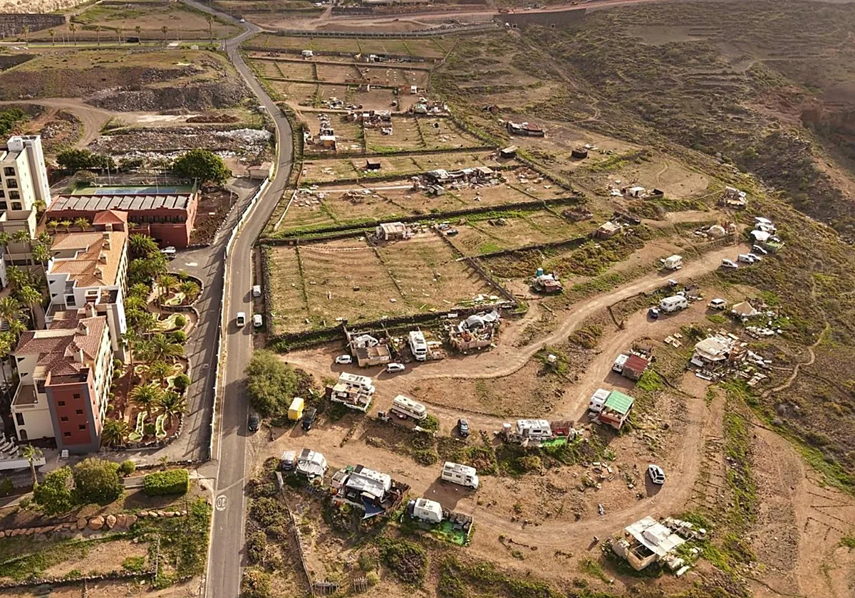 Detenido por quemar vivo a su perro en Adeje (Tenerife)