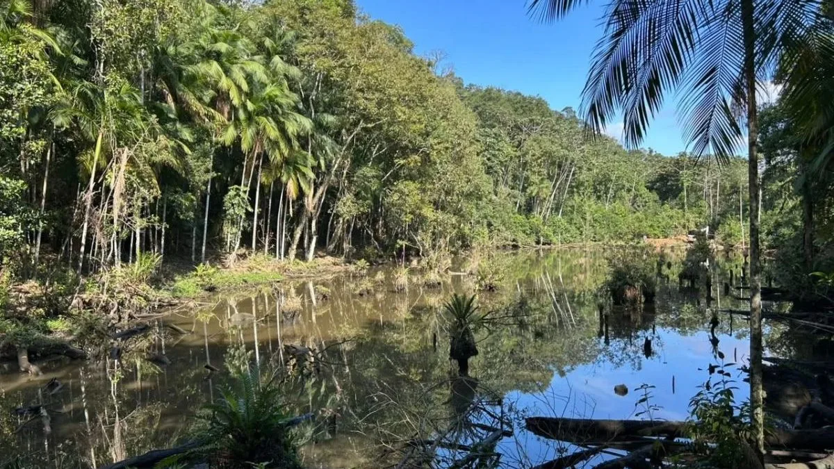 Lagoa em ponto turístico que será esvaziada por risco de rompimento tem quase 3 metros de profundidade e foi formada em 2011 após deslizamento em SC