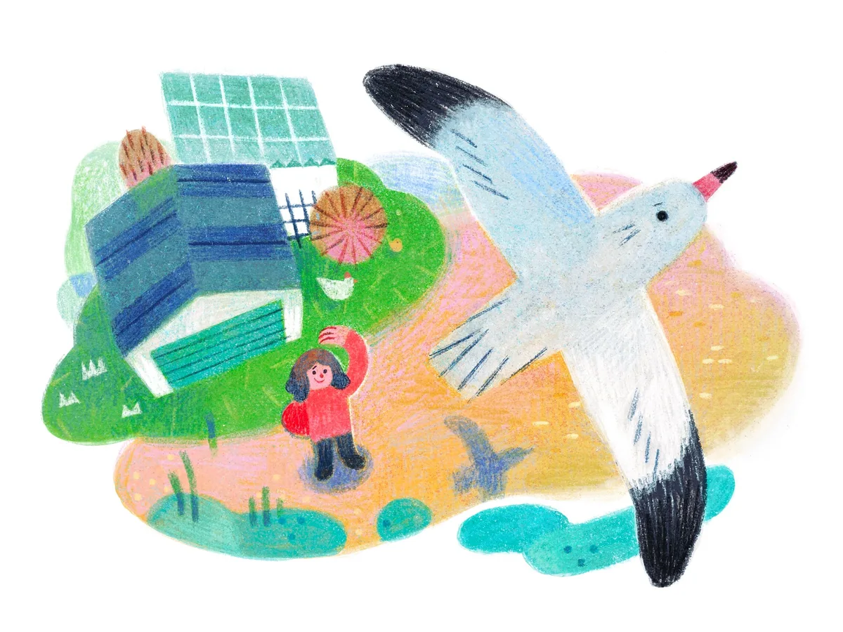 The baby bird I brought home as a child taught me lasting lessons