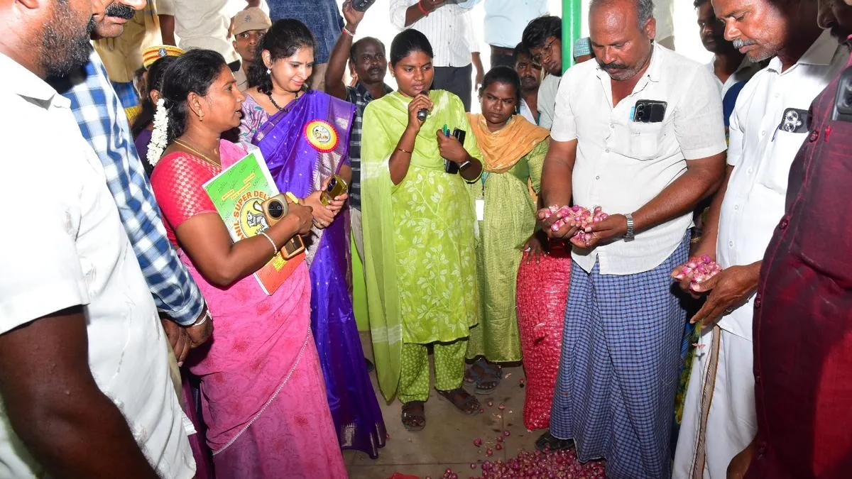 Small onions auction resumes at Chettikulam after eight years