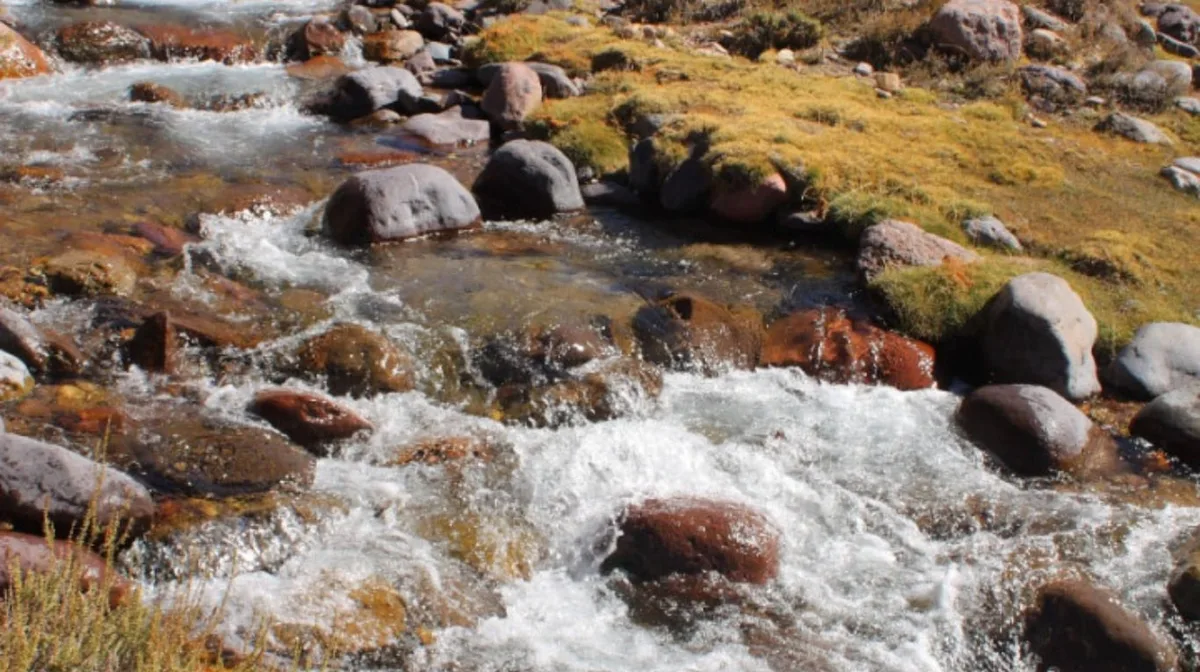 Tiene más de 215.000 hectáreas y guarda un tesoro natural en la cordillera de Mendoza: el área protegida que pocos conocen