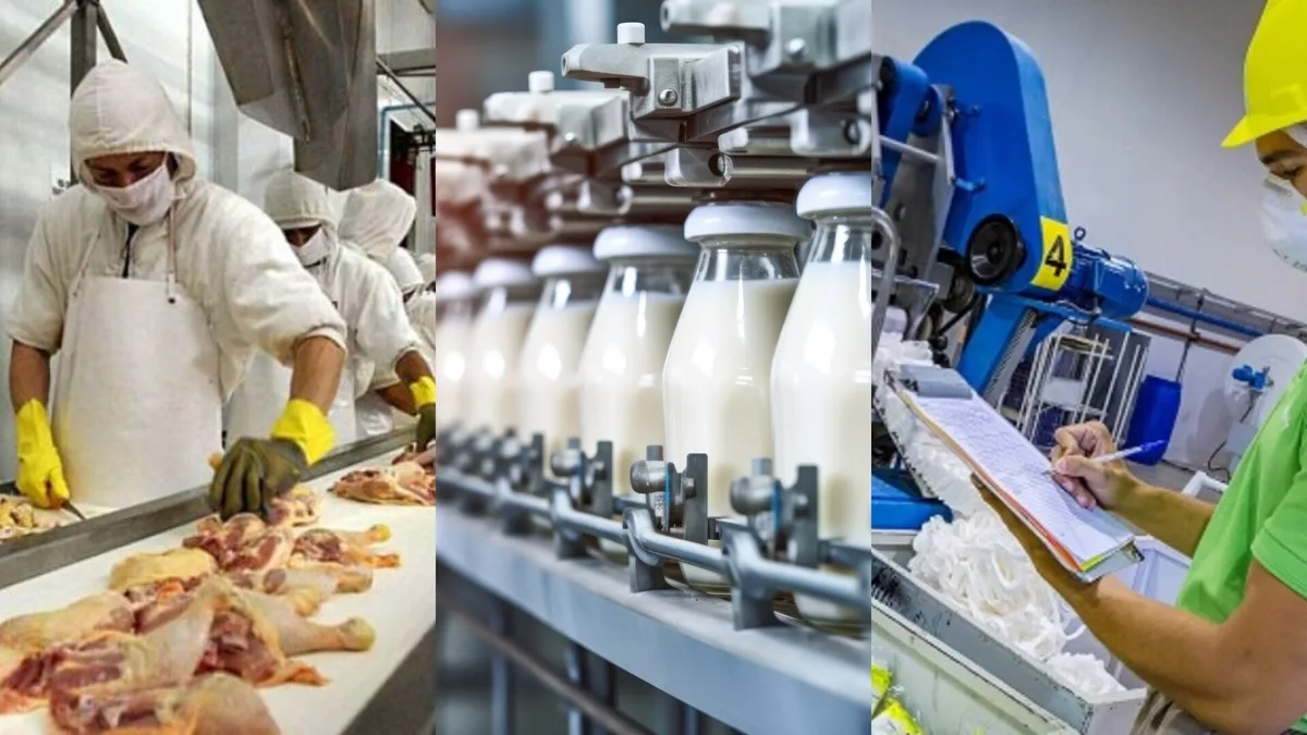 Entre la venta, el concurso y el cierre: qué puede pasar con tres grandes empresas al borde de la quiebra